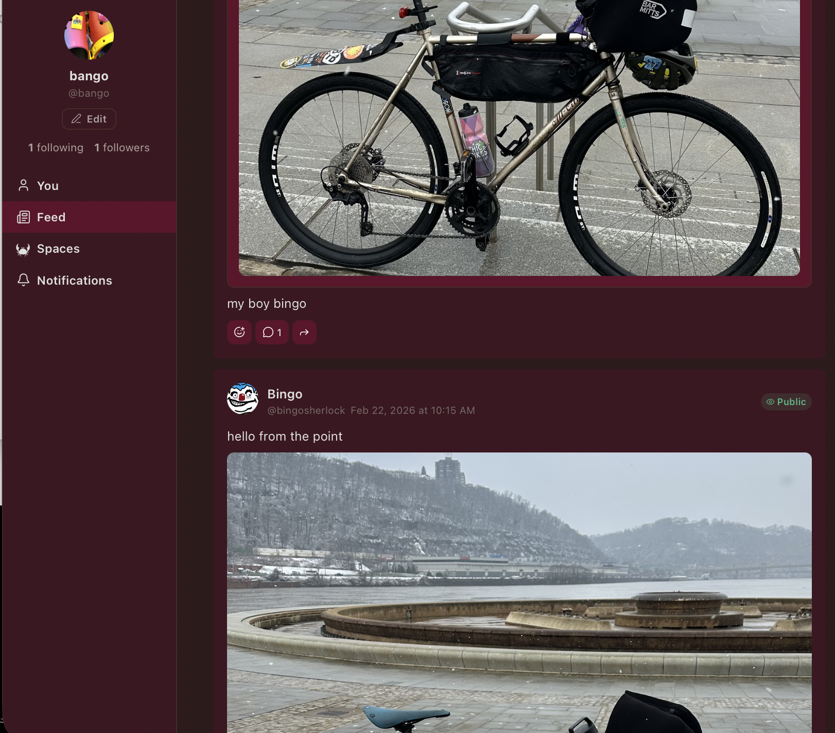 Screenshot: Social feed